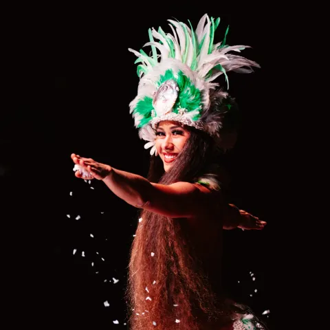 a person wearing a costume